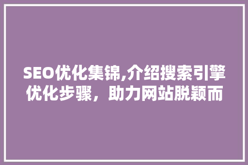 SEO优化集锦,介绍搜索引擎优化步骤，助力网站脱颖而出