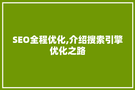 SEO全程优化,介绍搜索引擎优化之路