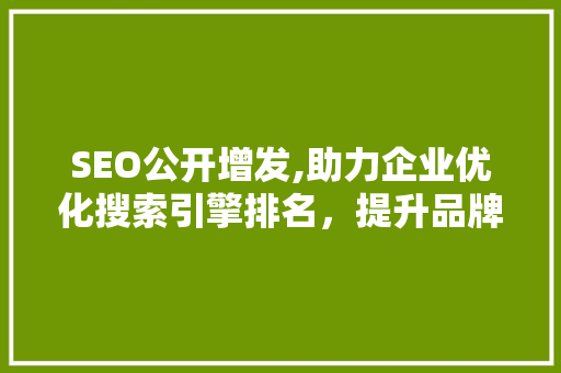 SEO公开增发,助力企业优化搜索引擎排名，提升品牌影响力