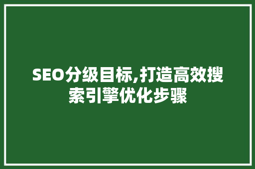 SEO分级目标,打造高效搜索引擎优化步骤