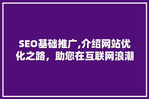 SEO基础推广,介绍网站优化之路，助您在互联网浪潮中乘风破浪