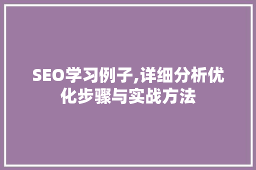 SEO学习例子,详细分析优化步骤与实战方法