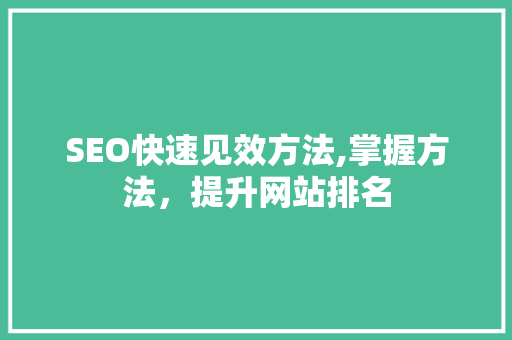SEO快速见效方法,掌握方法，提升网站排名