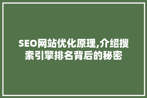 SEO网站优化原理,介绍搜索引擎排名背后的秘密