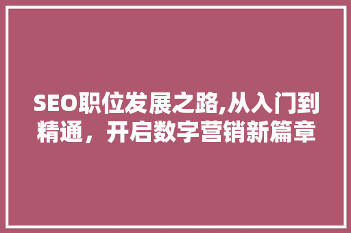SEO职位发展之路,从入门到精通，开启数字营销新篇章