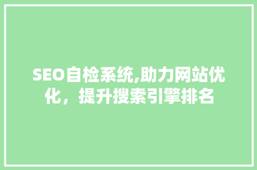 SEO自检系统,助力网站优化，提升搜索引擎排名
