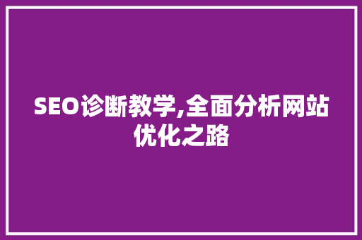 SEO诊断教学,全面分析网站优化之路