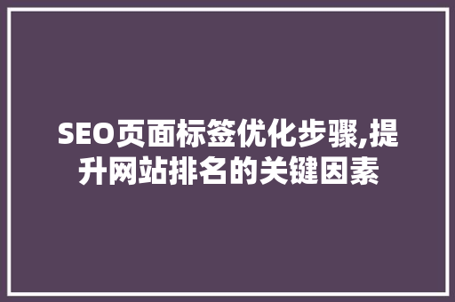 SEO页面标签优化步骤,提升网站排名的关键因素