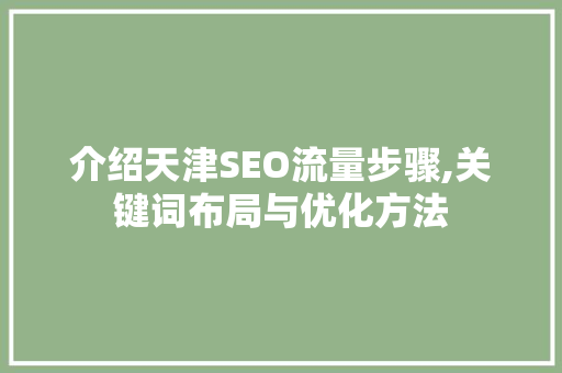 介绍天津SEO流量步骤,关键词布局与优化方法