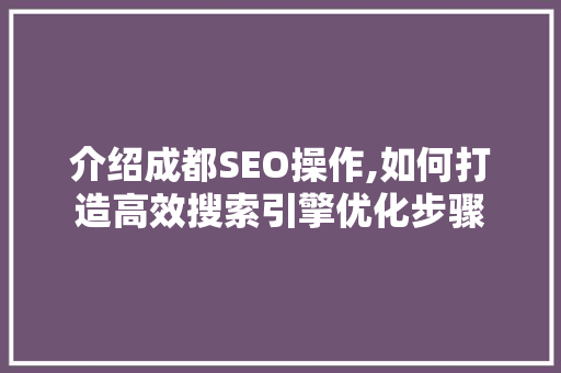 介绍成都SEO操作,如何打造高效搜索引擎优化步骤