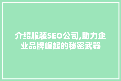 介绍服装SEO公司,助力企业品牌崛起的秘密武器