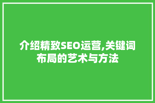介绍精致SEO运营,关键词布局的艺术与方法
