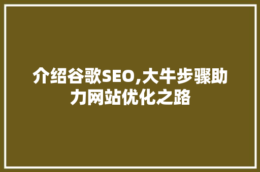 介绍谷歌SEO,大牛步骤助力网站优化之路