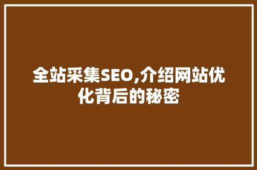 全站采集SEO,介绍网站优化背后的秘密