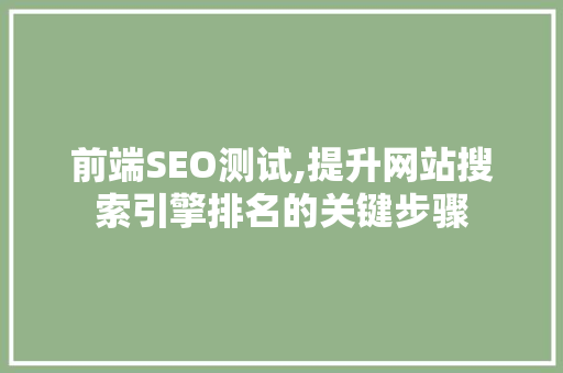 前端SEO测试,提升网站搜索引擎排名的关键步骤