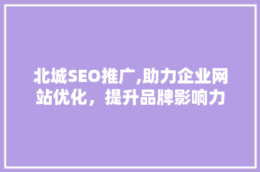 北城SEO推广,助力企业网站优化，提升品牌影响力