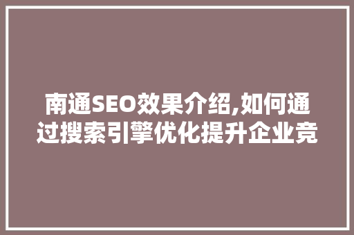 南通SEO效果介绍,如何通过搜索引擎优化提升企业竞争力