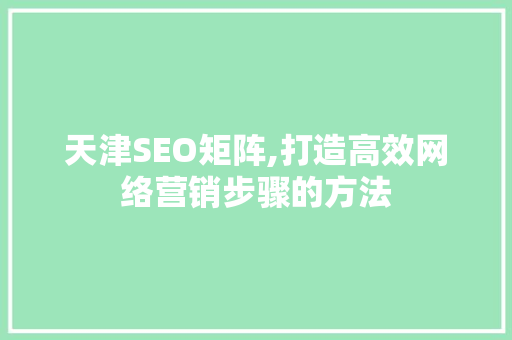 天津SEO矩阵,打造高效网络营销步骤的方法