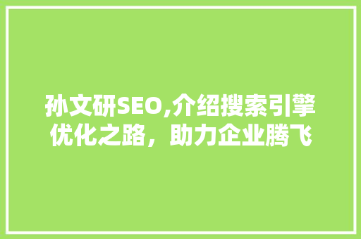 孙文研SEO,介绍搜索引擎优化之路，助力企业腾飞