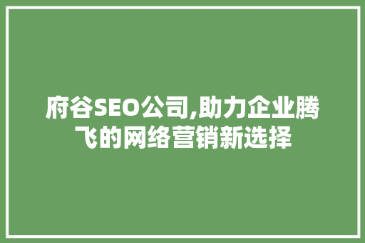 府谷SEO公司,助力企业腾飞的网络营销新选择