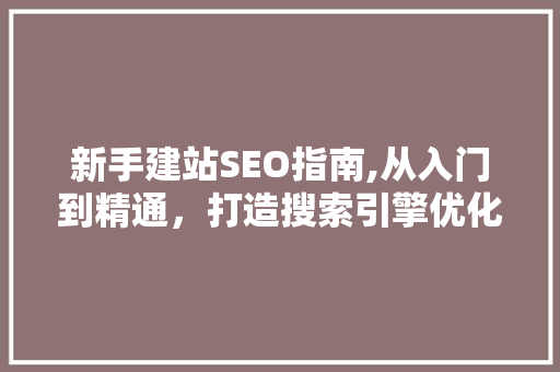 新手建站SEO指南,从入门到精通，打造搜索引擎优化高效网站