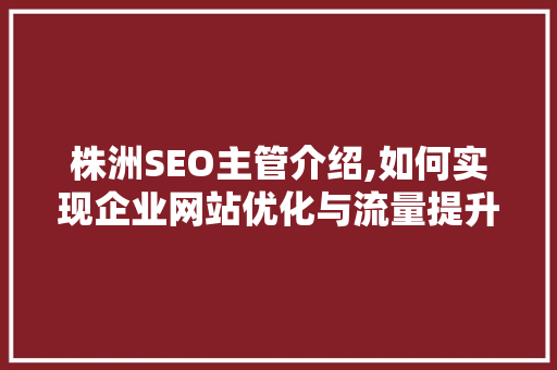 株洲SEO主管介绍,如何实现企业网站优化与流量提升 Web前端