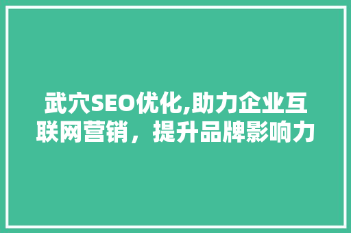 武穴SEO优化,助力企业互联网营销，提升品牌影响力