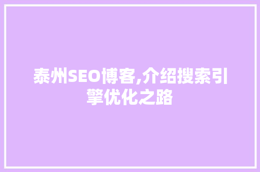 泰州SEO博客,介绍搜索引擎优化之路