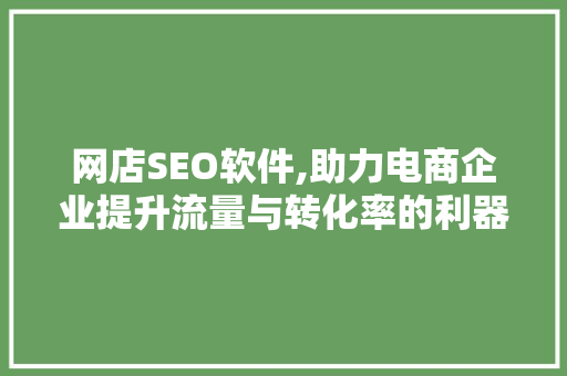 网店SEO软件,助力电商企业提升流量与转化率的利器 SEO教程