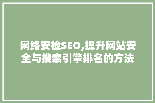 网络安检SEO,提升网站安全与搜索引擎排名的方法