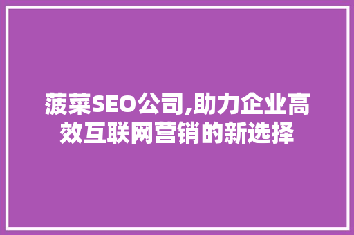 菠菜SEO公司,助力企业高效互联网营销的新选择