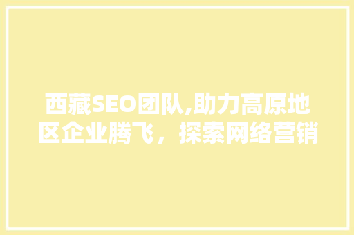 西藏SEO团队,助力高原地区企业腾飞，探索网络营销新路径