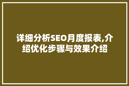 详细分析SEO月度报表,介绍优化步骤与效果介绍