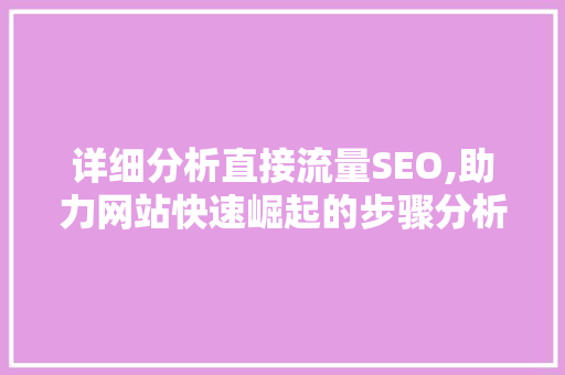 详细分析直接流量SEO,助力网站快速崛起的步骤分析