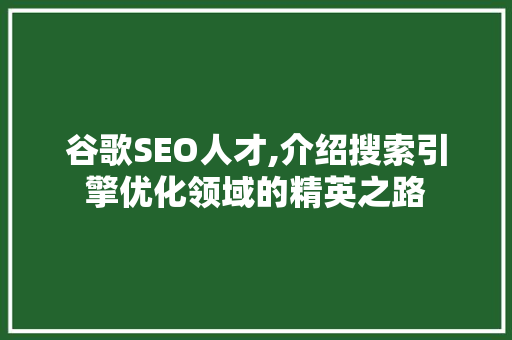 谷歌SEO人才,介绍搜索引擎优化领域的精英之路