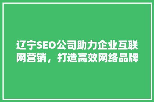 辽宁SEO公司助力企业互联网营销，打造高效网络品牌形象