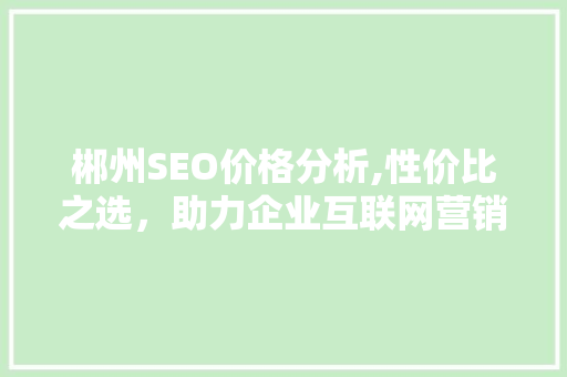 郴州SEO价格分析,性价比之选，助力企业互联网营销