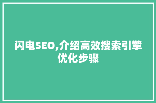 闪电SEO,介绍高效搜索引擎优化步骤