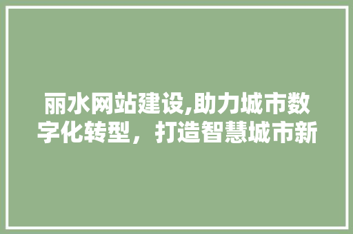 丽水网站建设,助力城市数字化转型，打造智慧城市新引擎