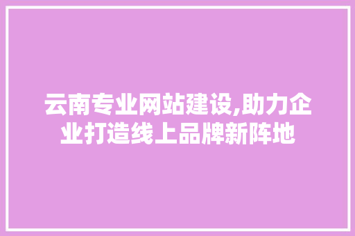 云南专业网站建设,助力企业打造线上品牌新阵地