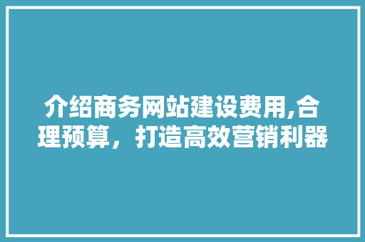 介绍商务网站建设费用,合理预算，打造高效营销利器