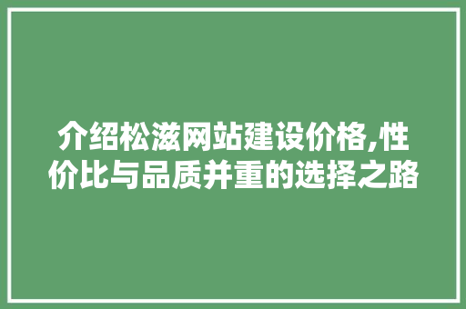 介绍松滋网站建设价格,性价比与品质并重的选择之路