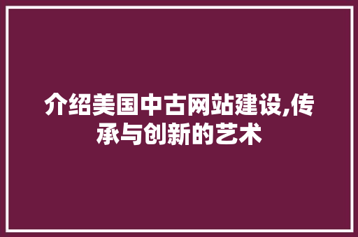 介绍美国中古网站建设,传承与创新的艺术