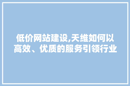 低价网站建设,天维如何以高效、优质的服务引领行业新潮流