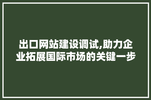 出口网站建设调试,助力企业拓展国际市场的关键一步