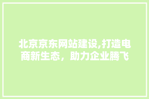 北京京东网站建设,打造电商新生态，助力企业腾飞