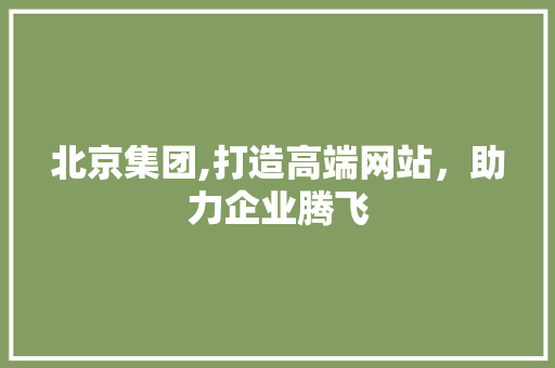北京集团,打造高端网站，助力企业腾飞