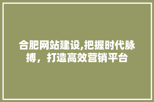 合肥网站建设,把握时代脉搏，打造高效营销平台