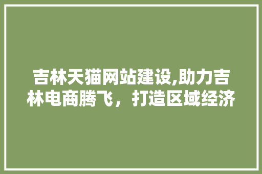 吉林天猫网站建设,助力吉林电商腾飞，打造区域经济新引擎