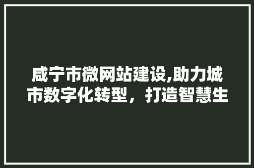 咸宁市微网站建设,助力城市数字化转型，打造智慧生活新篇章